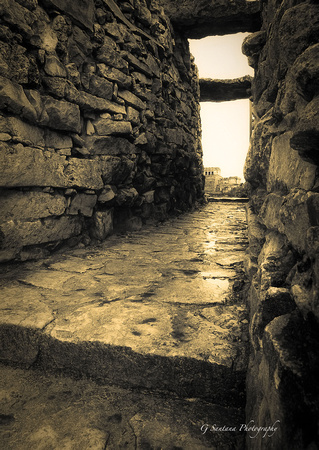 Pathway To Tulum